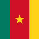 Flag of Cameroon