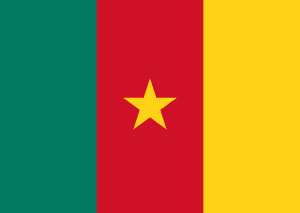 Flag of Cameroon