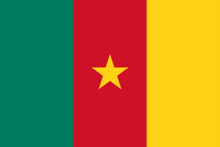 Cameroon country flag Flag of Cameroon